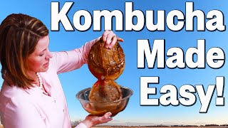 How To Make Kombucha a Keto Drink [upl. by Senga138]