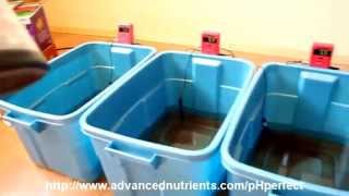 Advanced Nutrients pH Perfect Demonstration [upl. by Paris649]