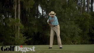 David Leadbetter Lower Body Stability [upl. by Aerdna]