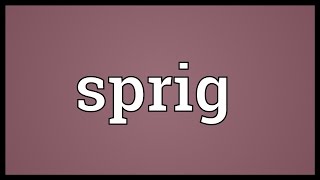 Sprig Meaning [upl. by Katleen390]