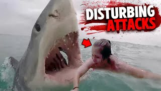 The Most DISTURBING Shark Attacks MARATHON [upl. by Lindell]