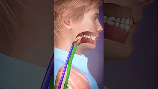 Swallowing Down The Wrong Pipe 😟quot shorts [upl. by Lledrev]