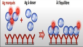 📍 Dosage radioimmunologique [upl. by Canty222]