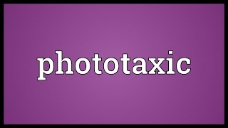 Phototaxic Meaning [upl. by Changaris273]