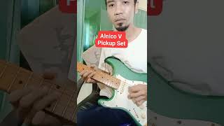 Alnico V Pickup Guitar [upl. by Cohby]