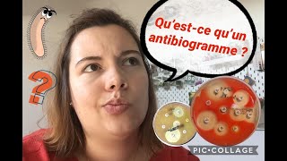 🦠 Questce quun antibiogramme  🧫 [upl. by Okoyk325]