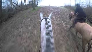 Farmers Bloodhounds  Curdle Hill Chadlington 030116 [upl. by Aihsak]