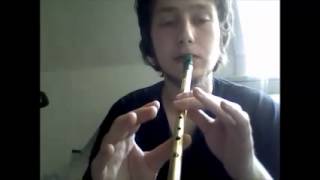 Braveheart theme on the tin whistle TUTORIAL [upl. by Teador754]