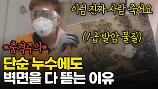 겨울철 결로방지곰팡이냄새 제거 노하우 방안속 숨은 1급발암물질  단열전문가는 이런 방법으로 공사하고 있습니다 [upl. by Olcott]