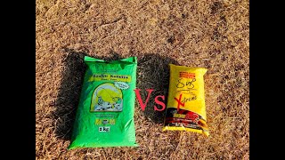 What Is Your Favourite Ground Feed  Spitskop Dam Ep 11 [upl. by Eihcra]