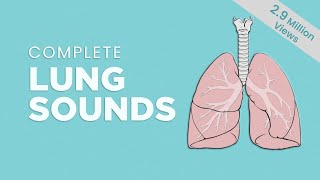 Complete Breath sounds NormalAbnormal Lung Sounds Types amp Conditions [upl. by Rhonda]