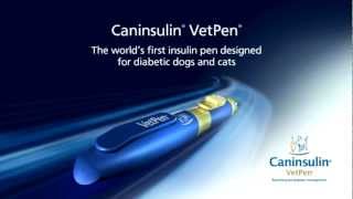 How to use Caninsulin VetPen [upl. by Godderd412]