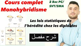 Cours complet les lois statistiques de l’hérédité Monohybridisme 2 Bac شرح مفصل ومبسط [upl. by Greenburg677]