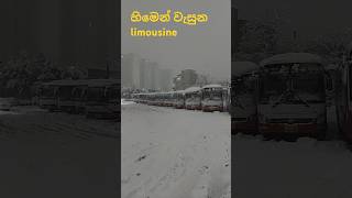 හිම නිසාම සිදුවන දේ amazing 👏 🤩 😍 🙌 [upl. by Heinrike701]