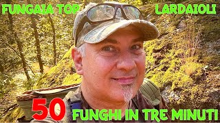 50 funghi in tre minuti  funghi 2024  SUB [upl. by Loriner32]