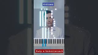 MiłyPan  Królowa 🎹 Piano Tutorial 🔥 Nuty shorts [upl. by Quintie998]