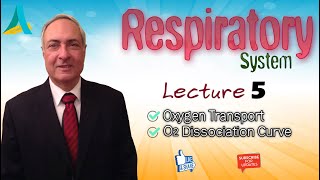 DrNagi  Live Physiology  Lecture 85  Respiration 5  O2 dissociation curves amp transport [upl. by Leugimsiul467]