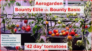 Aerogarden Bounty Elite vs Bounty Basic  Tomato  Blossomend rot  Cal Mag  Hydroponics [upl. by Ambrose]