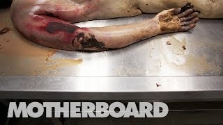 Reviving Dead Bodies in Mexico Trailer [upl. by Alarise486]