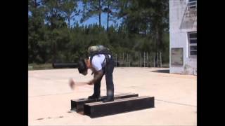 FCTC Fire Acadamy  Agility Test [upl. by Gitlow]