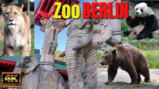 Zoo BERLIN [upl. by Reel]