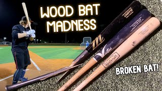 Wood Bat Madness 12  American Batsmith TS28 Birch vs Marucci LINDY12 amp Victus TATIS23 Maple [upl. by Stoddart]