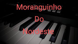 Morango do Nordeste  Lairton cover sx600 instrumental yamaha cover [upl. by Margit235]