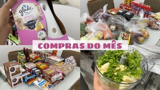 COMPRAS DO MÊS  ORGANIZEI A GELADEIRA  USEI PELA PRIMEIRA VEZ  FIZ TEMPERO CASEIRO  VALOR TOTAL [upl. by Ahders]