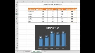 Tabla de promedios y gráfico de columnas en Excel [upl. by Tirza]