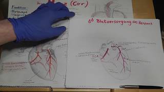 PRÜFUNGSWISSEN Blutversorgung des Herzens Herzkranzgefäße amp Herzinfarkt erklärt [upl. by Itsyrk858]