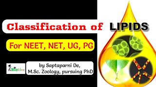 Classification of Lipids [upl. by Corvese]