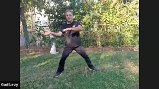 Shing Yi and Chi Kung workout By Gad Levy Golan [upl. by Yetac]