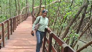 Gokarna Trip Day 2 Honnavar Mangrove forest 2 [upl. by Dorkas]