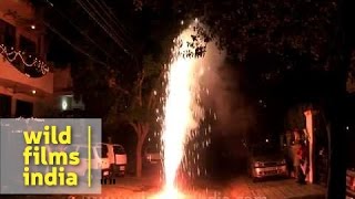 Bursting crackers on Diwali [upl. by Audette]