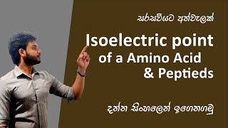 How to find Isoelectric point of Amino acids and dipeptides [upl. by Noit]