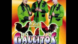 Los Gallitos de Chihuahua  Siempre En Mi Mente [upl. by Boy]