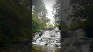 Vattakanal falls in Kodaikanal vattakanal travel youtubeshorts trending viralvideo waterfall [upl. by Ahsyla]