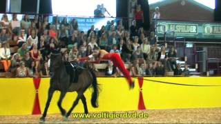 Ulrike Posselt  SAC  DVM Alsfeld 2015  Female  33 [upl. by Enelrihs]