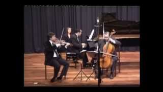 Beethoven Piano Trio in C minor Op 13 I [upl. by Kalfas]