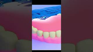 Human teeth Shorts shorts ytshorts short trending trendingshorts teeth video [upl. by Shep162]