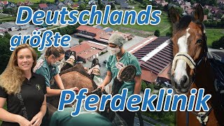 Deutschlands größte Pferdeklinik stellt sich Ariane Telgen  Mit 3 Pferden in die Pferdeorthopädie [upl. by Leibrag263]