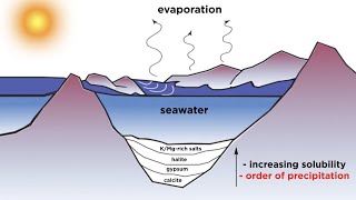 Classification of Sedimentary Rocks Part 3 Chemogenic Rocks [upl. by Culliton391]