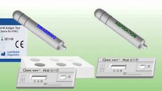 Influenza A B Test [upl. by Cheffetz]