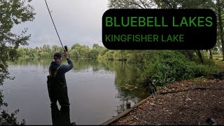 BLUEBELL LAKES  KINGFISHER LAKE  CARP FISHING [upl. by Aniwde]