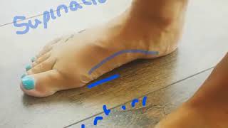 Pronation supination foot vid [upl. by Margy465]