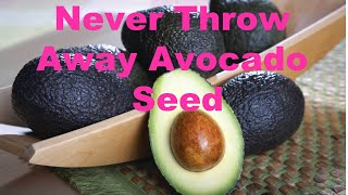 Never Throw Away Avocado Seed  Life Hacks [upl. by Ahtelra126]