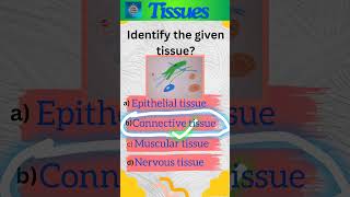 Tissues Part 3  Animal tissues  Class 9 Science  Connective tissue  shorts [upl. by Becky246]