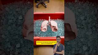 ¿Cómo se conservan los pulmones para un trasplante 🫁❄️ curiosidades salud sabiasque medicina [upl. by Lockwood968]