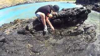 Fishing at Te Oka Bay near Christchurch NZ [upl. by Fanchon734]