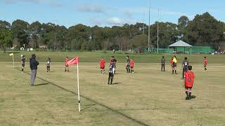 17082024 BDSFA RD13 U122 Quakers Hill Tigers Vs Workers FC Final Score 2  2 [upl. by Atteselrahc]